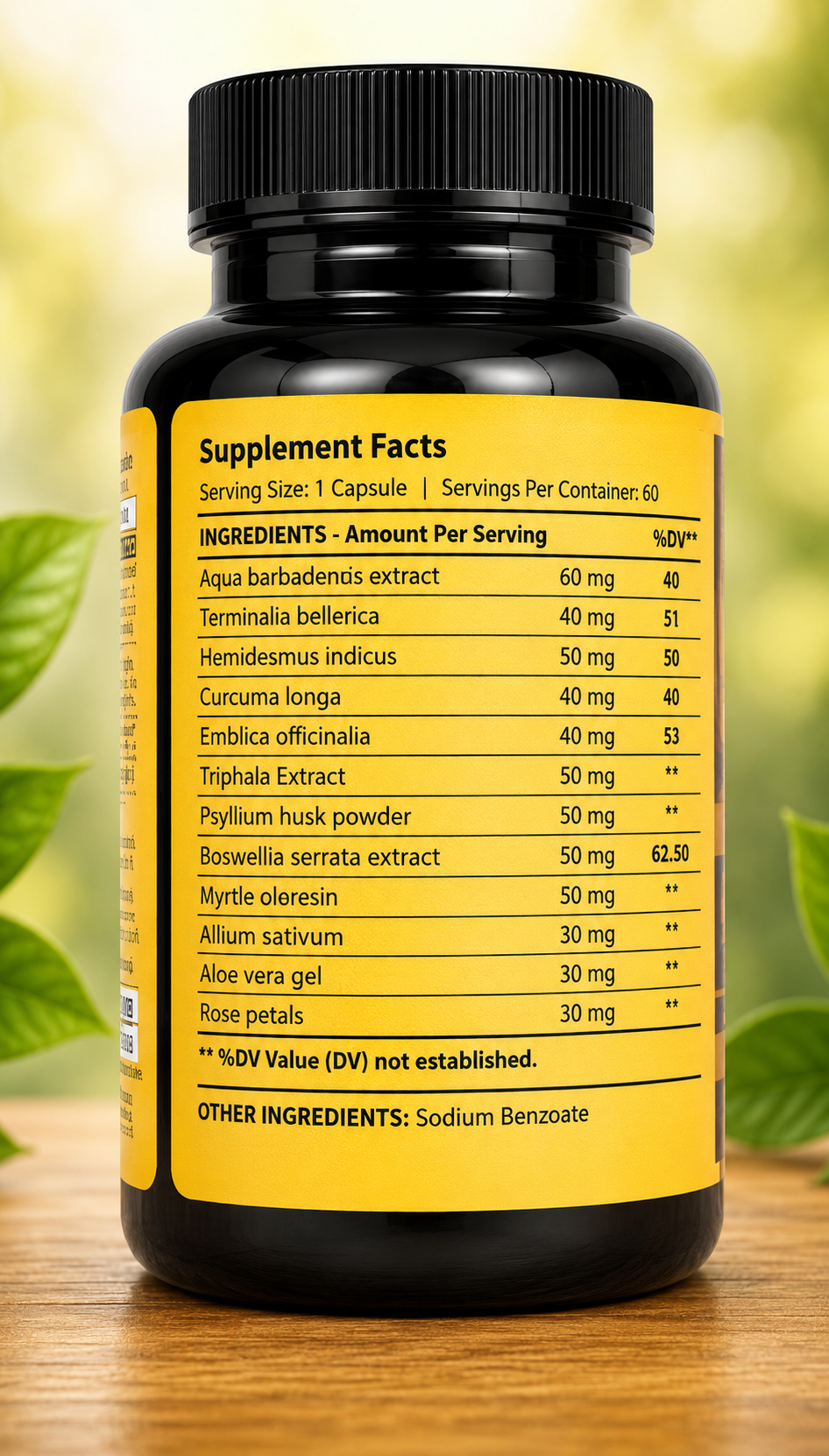 Dr USA PILES GONE Piles Care Formula | Natural Digestive Support Capsules - Image 2